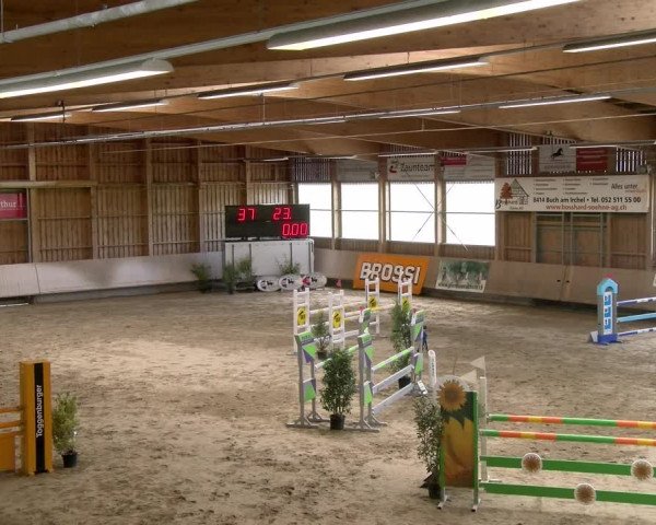 Reitturnier Winterthur 2023