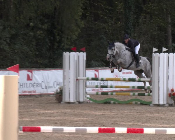 Reitturnier Ranshofen - Braunau am Inn 2023