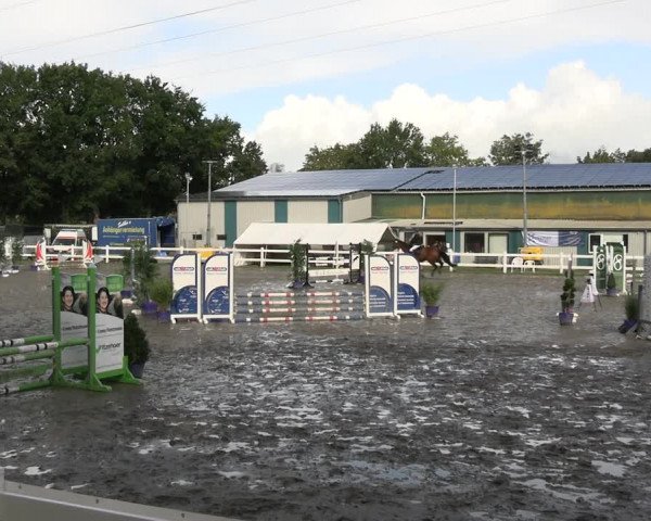Reitturnier Mildstedt - JTN 2023