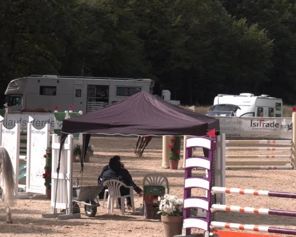 Reitturnier Ranshofen - Braunau am Inn 2023