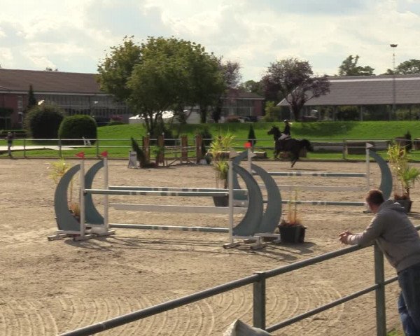 Reitturnier Langenfeld - Gut Langfort 2023