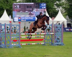 jumper Mila 69 (Hanoverian, 2014, from HH Messenger)