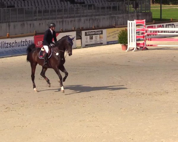 Reitturnier Westergellersen 2023