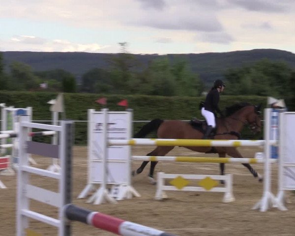 Reitturnier Birkungen 2023