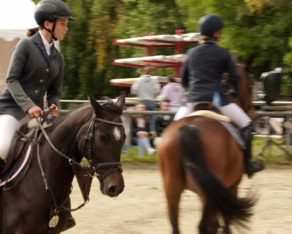 Reitturnier Leingarten 2023