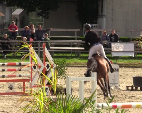 Reitturnier Langenfeld - Gut Langfort 2023