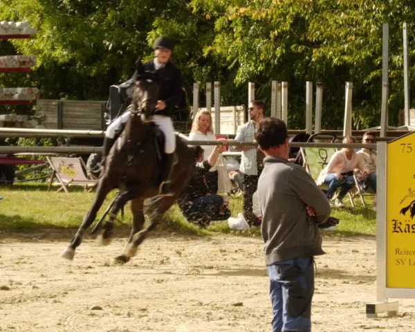Reitturnier Leingarten 2023