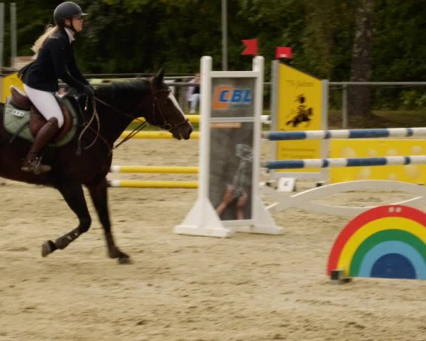 Reitturnier Leingarten 2023