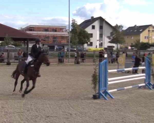 Reitturnier Poxdorf/Ofr 2023