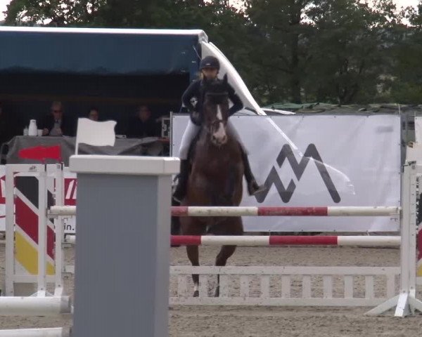 Reitturnier Poxdorf/Ofr 2023