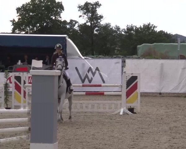Reitturnier Poxdorf/Ofr 2023