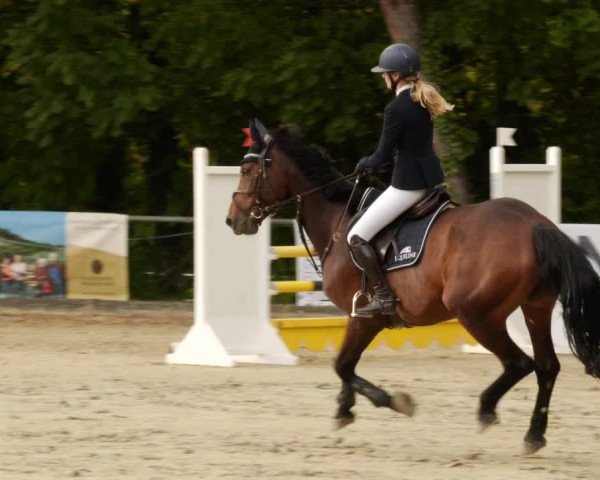 Reitturnier Leingarten 2023