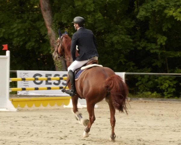 Reitturnier Leingarten 2023