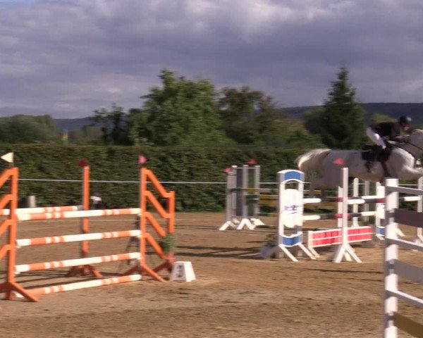 Reitturnier Birkungen 2023