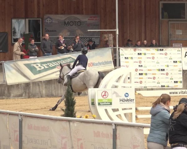 Reitturnier Ranshofen - Braunau am Inn 2023