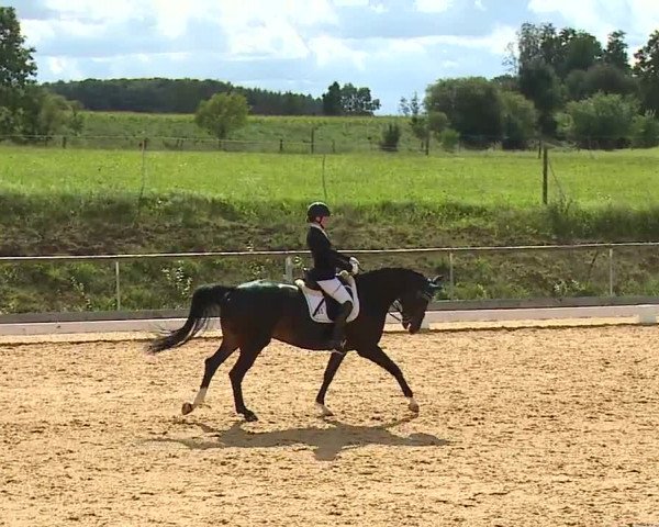 Reitturnier Altentrüdingen/Mfr. 2023