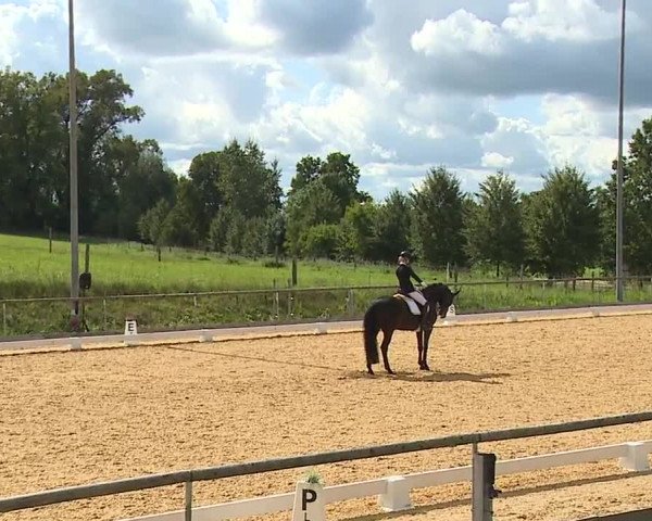 Reitturnier Altentrüdingen/Mfr. 2023