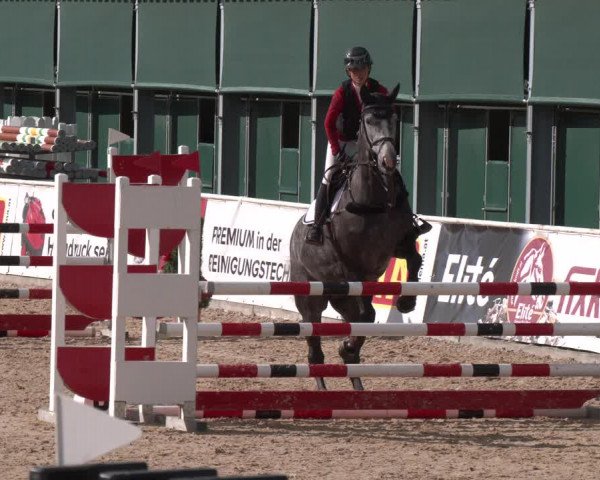 Reitturnier Ranshofen - Braunau am Inn 2023