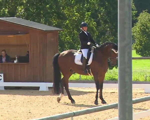 Reitturnier Altentrüdingen/Mfr. 2023