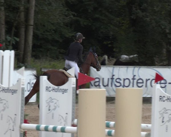 Reitturnier Ranshofen - Braunau am Inn 2023