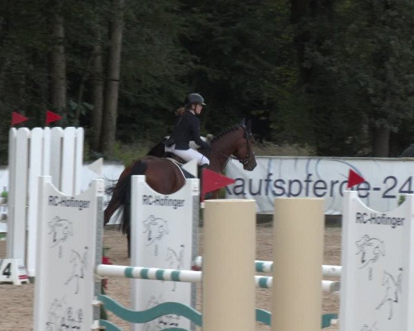 Reitturnier Ranshofen - Braunau am Inn 2023