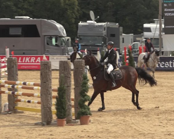 Reitturnier Ranshofen - Braunau am Inn 2023