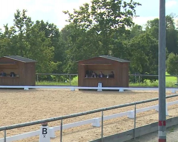 Reitturnier Altentrüdingen/Mfr. 2023