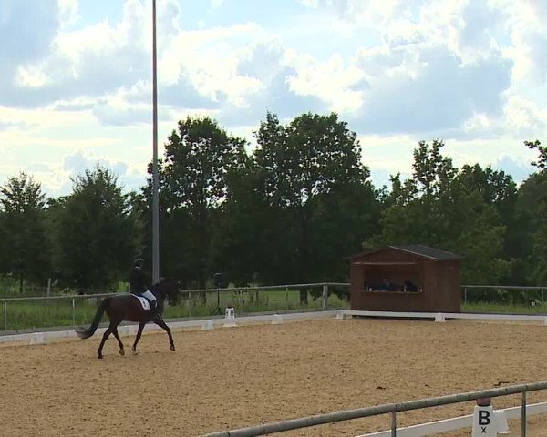 Reitturnier Altentrüdingen/Mfr. 2023