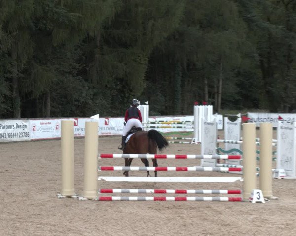 Reitturnier Ranshofen - Braunau am Inn 2023