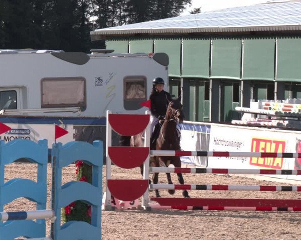 Reitturnier Ranshofen - Braunau am Inn 2023