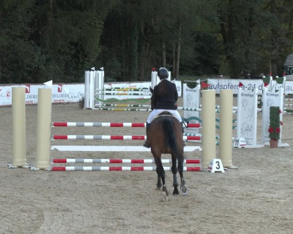 Reitturnier Ranshofen - Braunau am Inn 2023