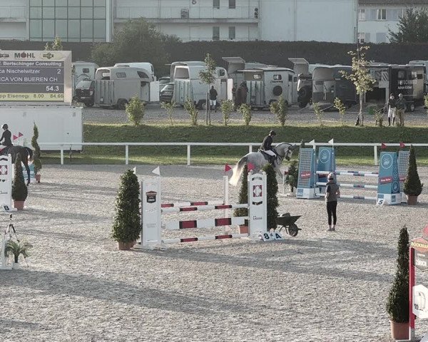 Pferdesporttage Bülach 2021