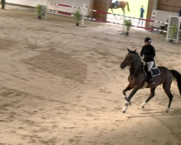 Reitturnier Winterthur 2023