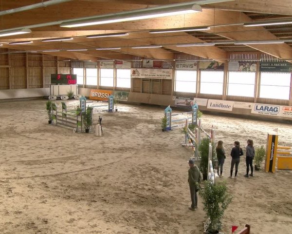 Reitturnier Winterthur 2023
