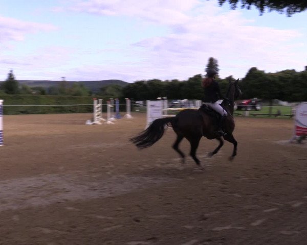 Reitturnier Birkungen 2023