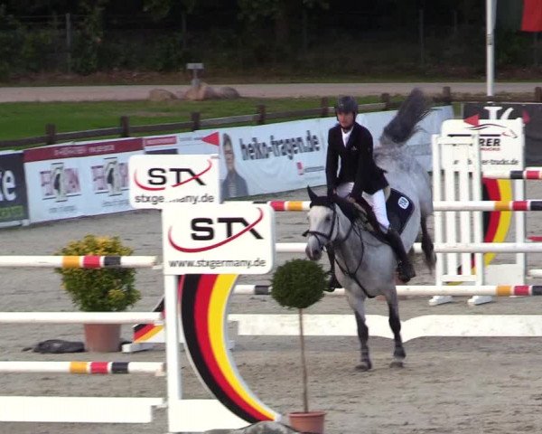 Reitturnier Westergellersen 2023