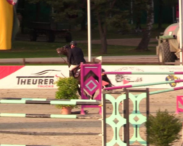 Reitturnier Westergellersen 2023