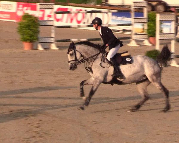 Reitturnier Westergellersen 2023