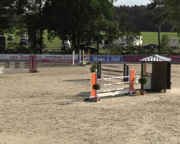 Reitturnier Westergellersen 2023