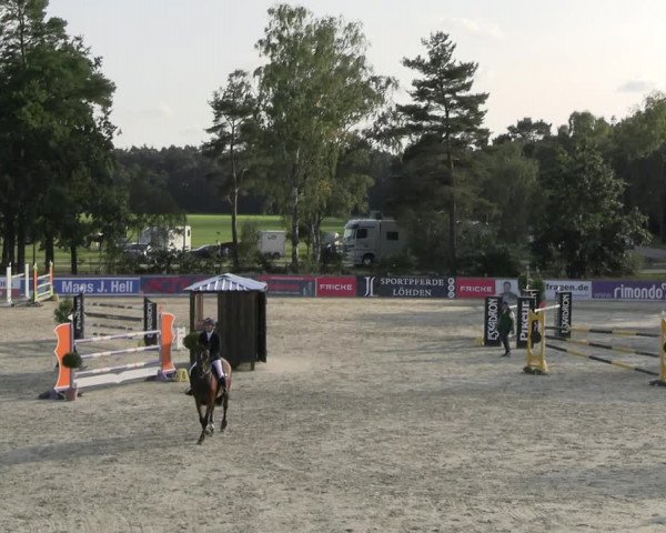 Reitturnier Westergellersen 2023