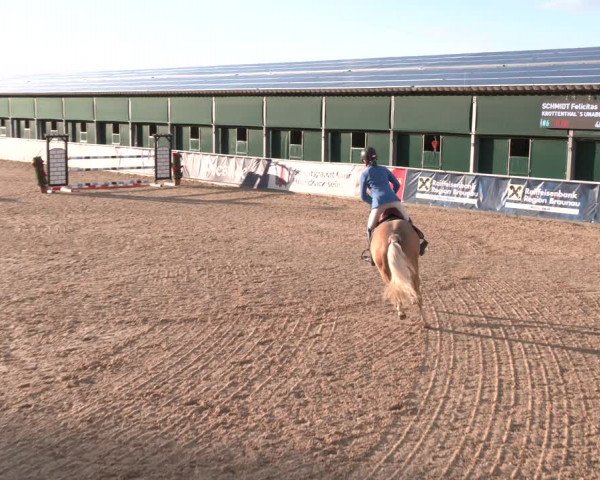Reitturnier Ranshofen - Braunau am Inn 2023