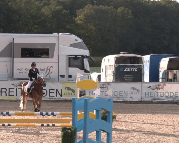 Reitturnier Ranshofen - Braunau am Inn 2023