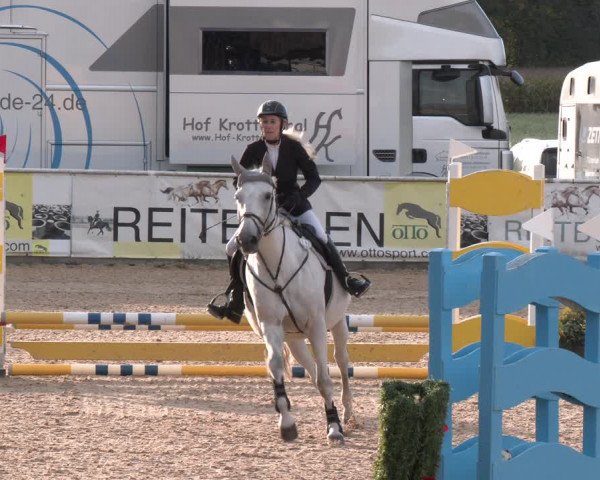 Reitturnier Ranshofen - Braunau am Inn 2023