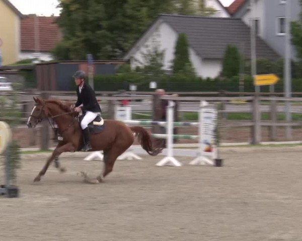 Reitturnier Poxdorf/Ofr 2023