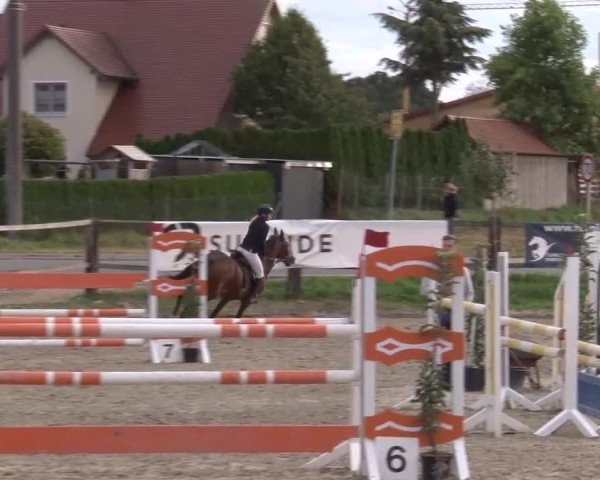 Reitturnier Poxdorf/Ofr 2023