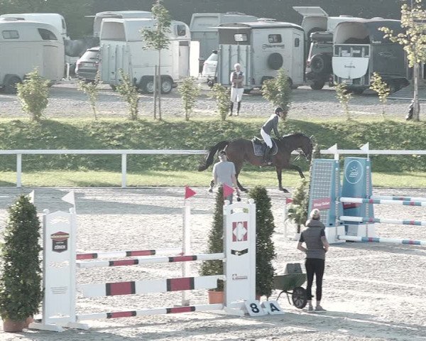 Pferdesporttage Bülach 2021