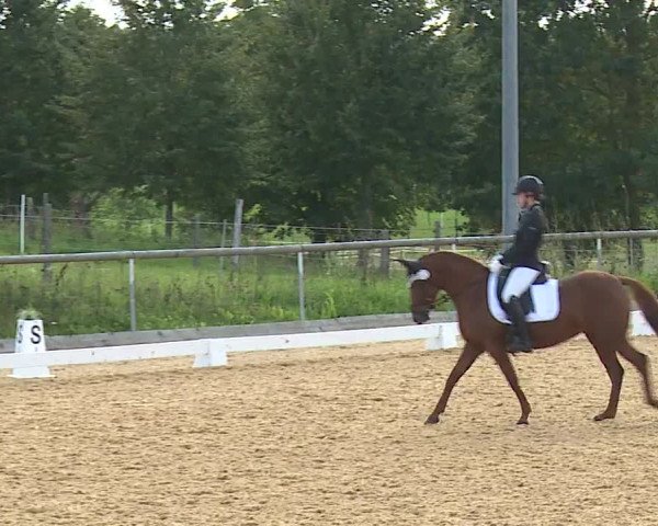 Reitturnier Altentrüdingen/Mfr. 2023