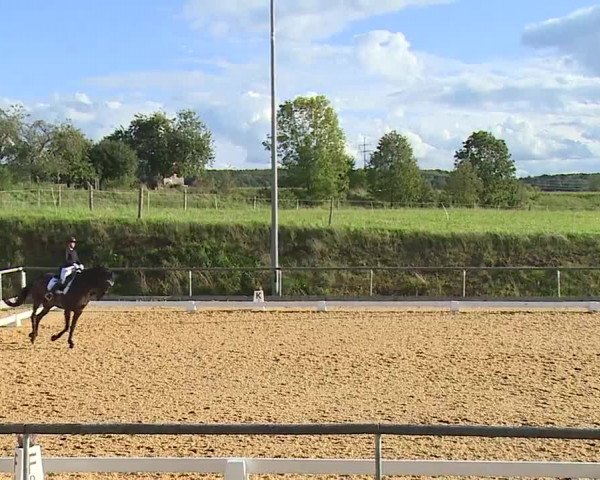 Reitturnier Altentrüdingen/Mfr. 2023