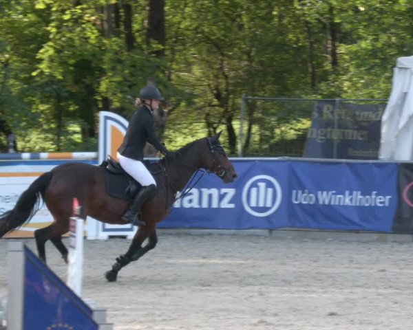 Reitturnier Karlsfeld 2023
