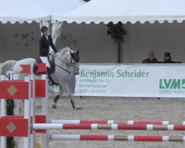 Reitturnier Karlsfeld 2023